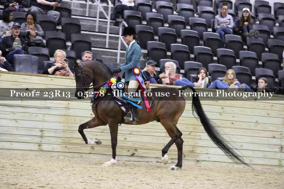 Proof Number 23R13_05278