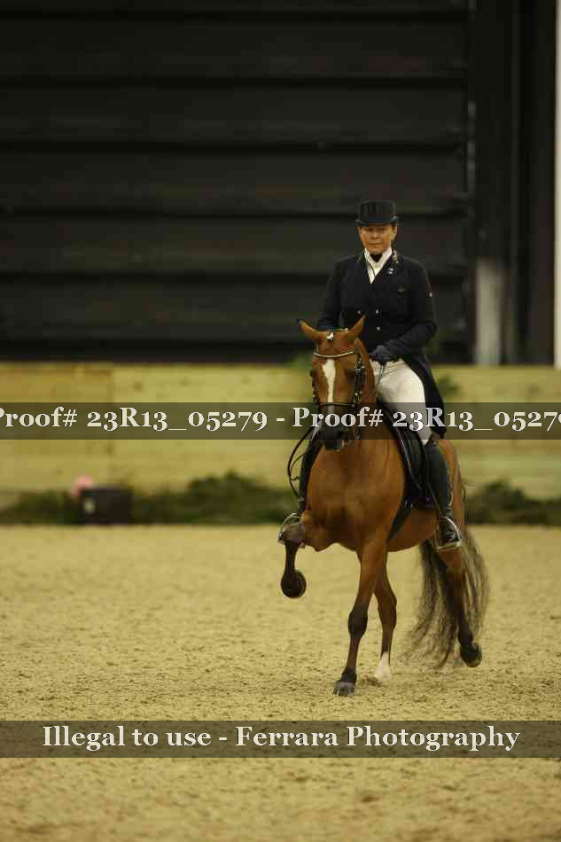 Proof Number 23R13_05279