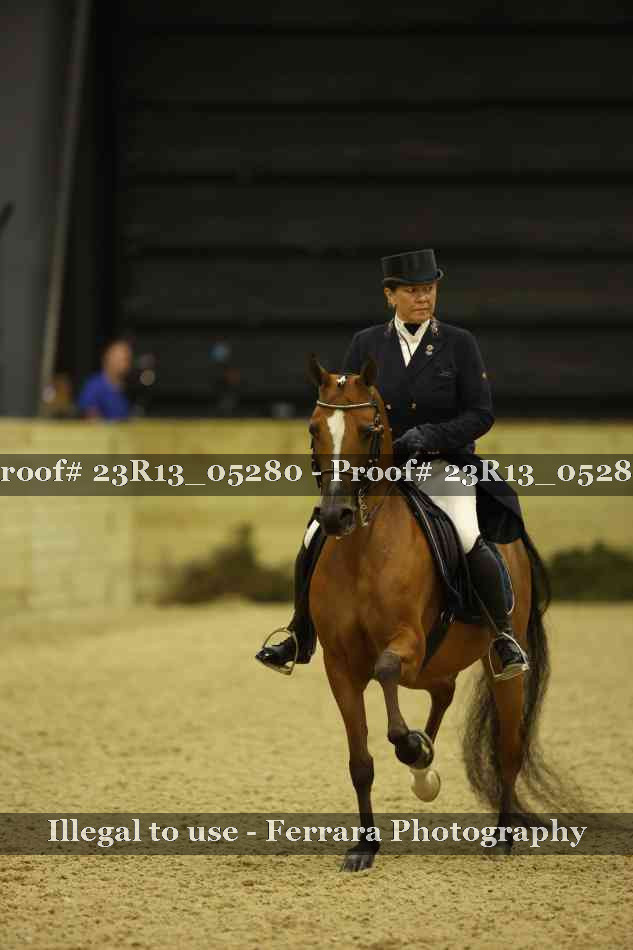 Proof Number 23R13_05280