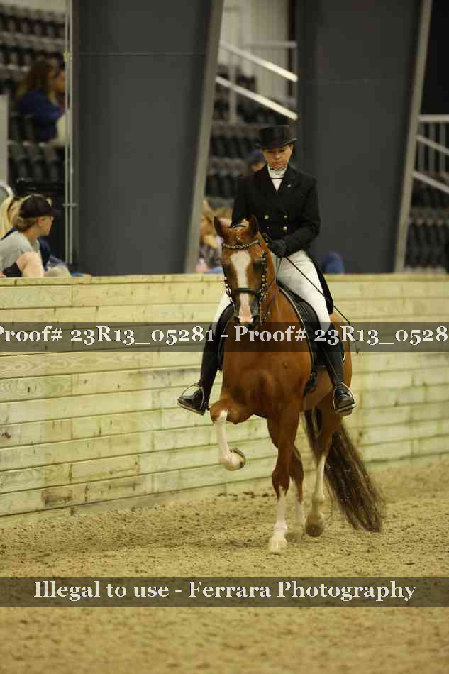 Proof Number 23R13_05281