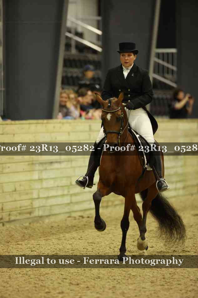 Proof Number 23R13_05282