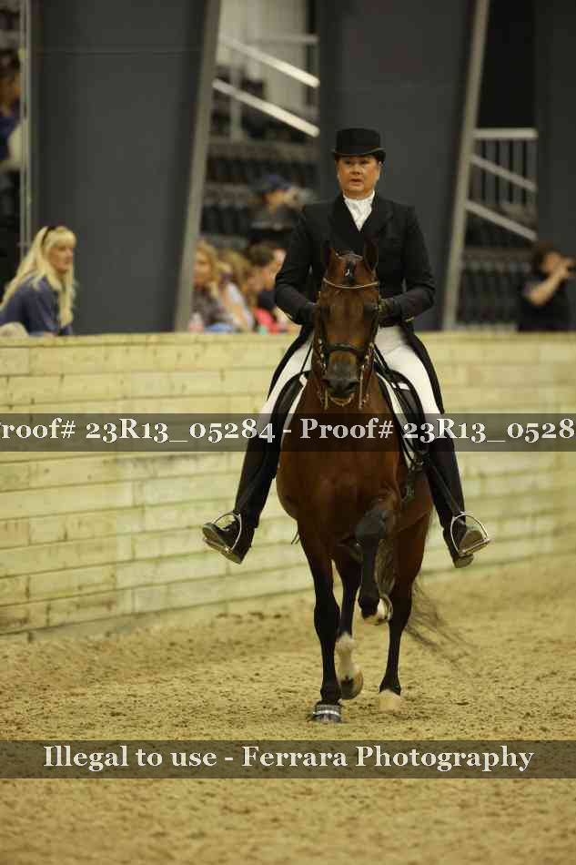 Proof Number 23R13_05284