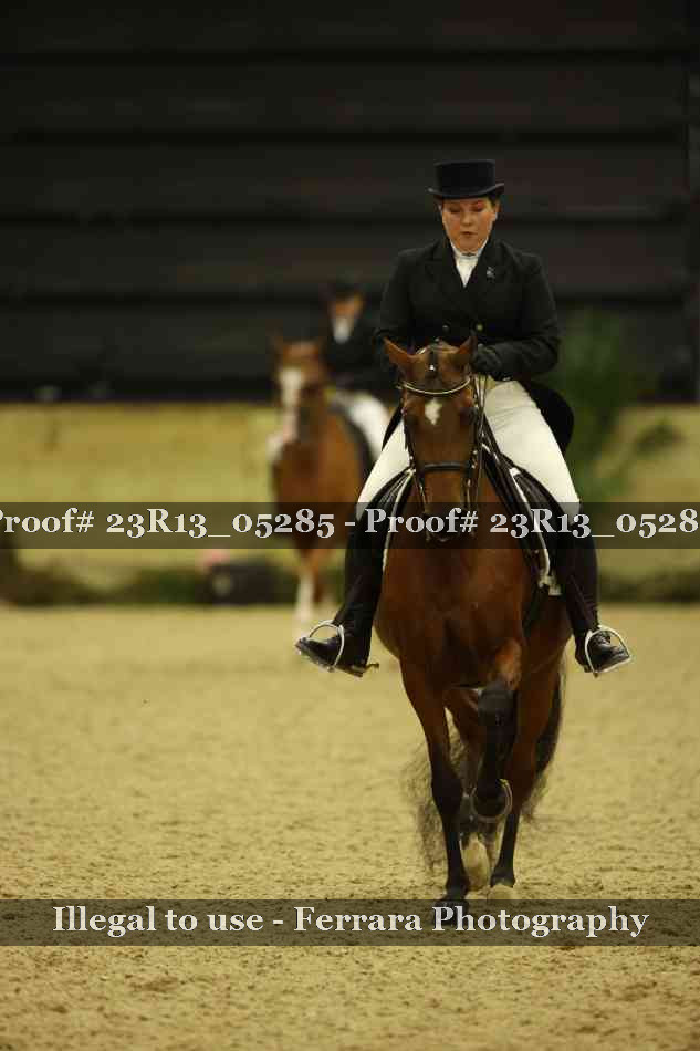 Proof Number 23R13_05285