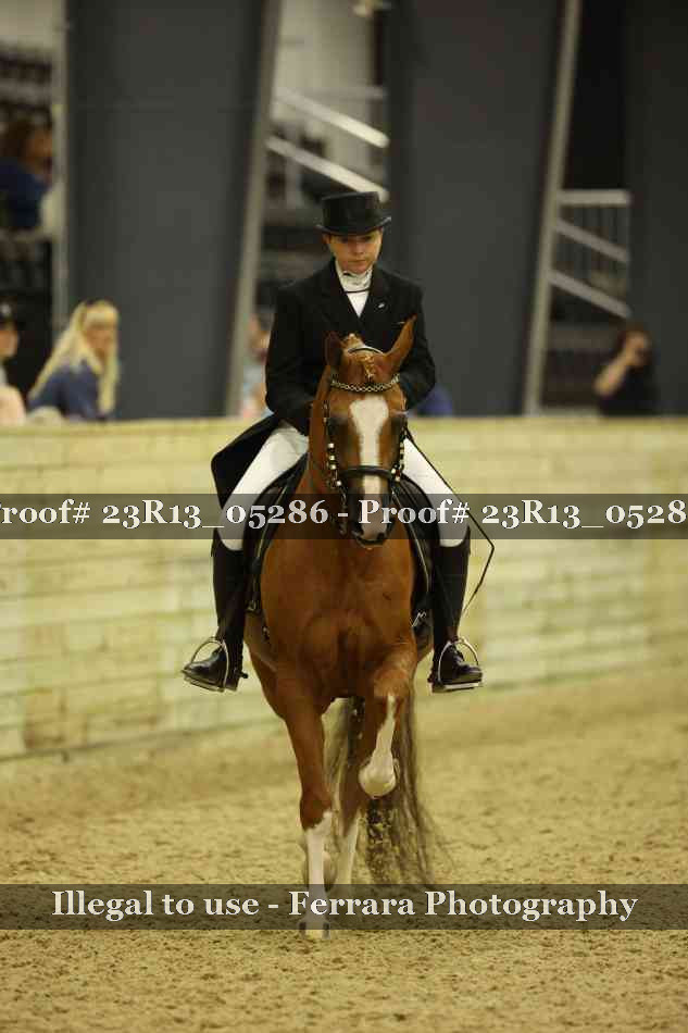 Proof Number 23R13_05286