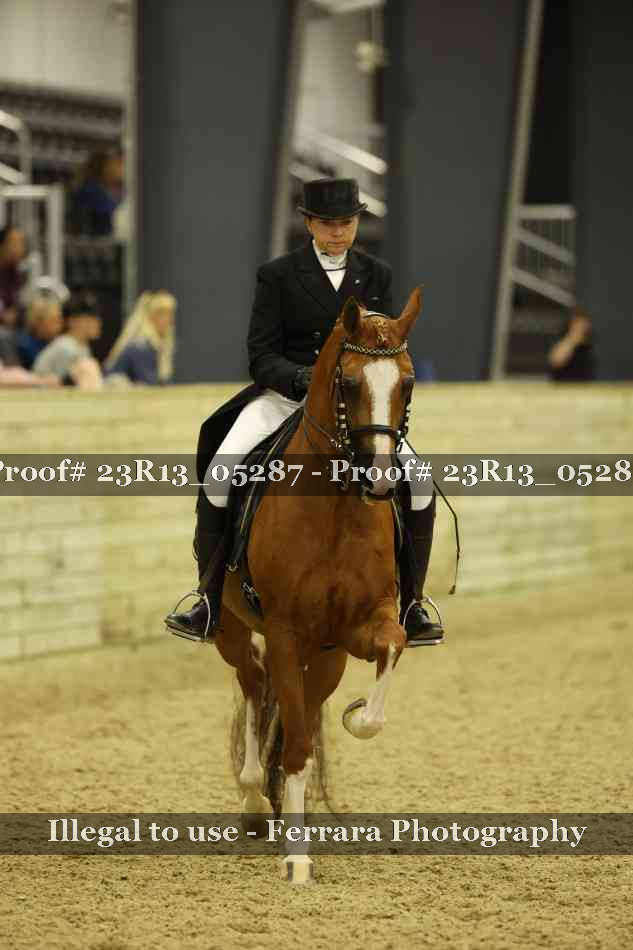 Proof Number 23R13_05287