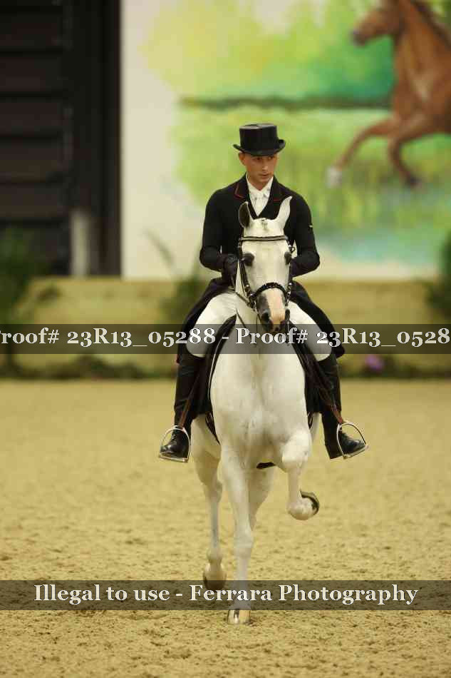 Proof Number 23R13_05288