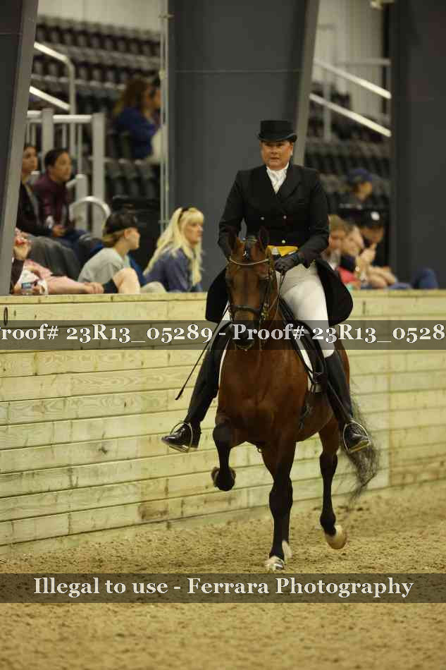 Proof Number 23R13_05289