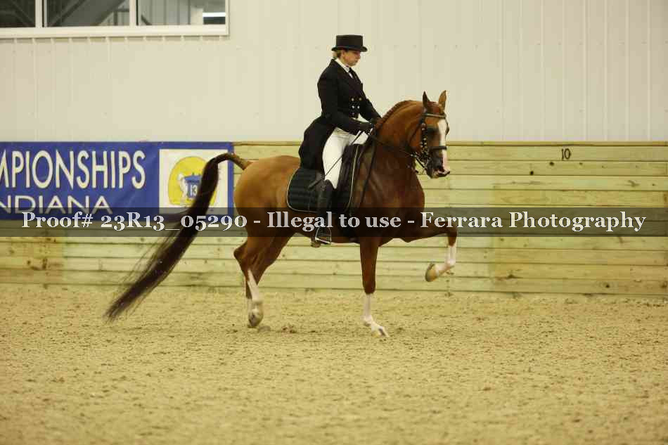 Proof Number 23R13_05290
