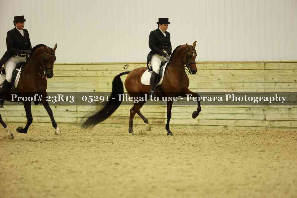 Proof Number 23R13_05291