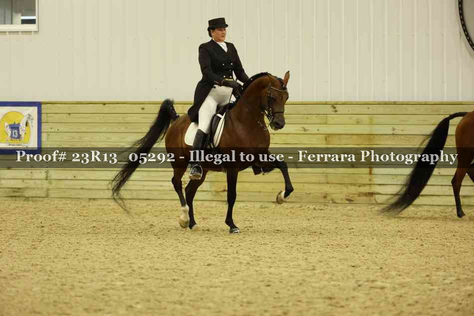 Proof Number 23R13_05292