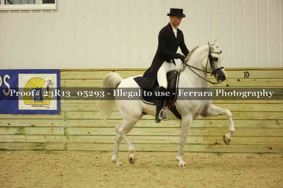 Proof Number 23R13_05293