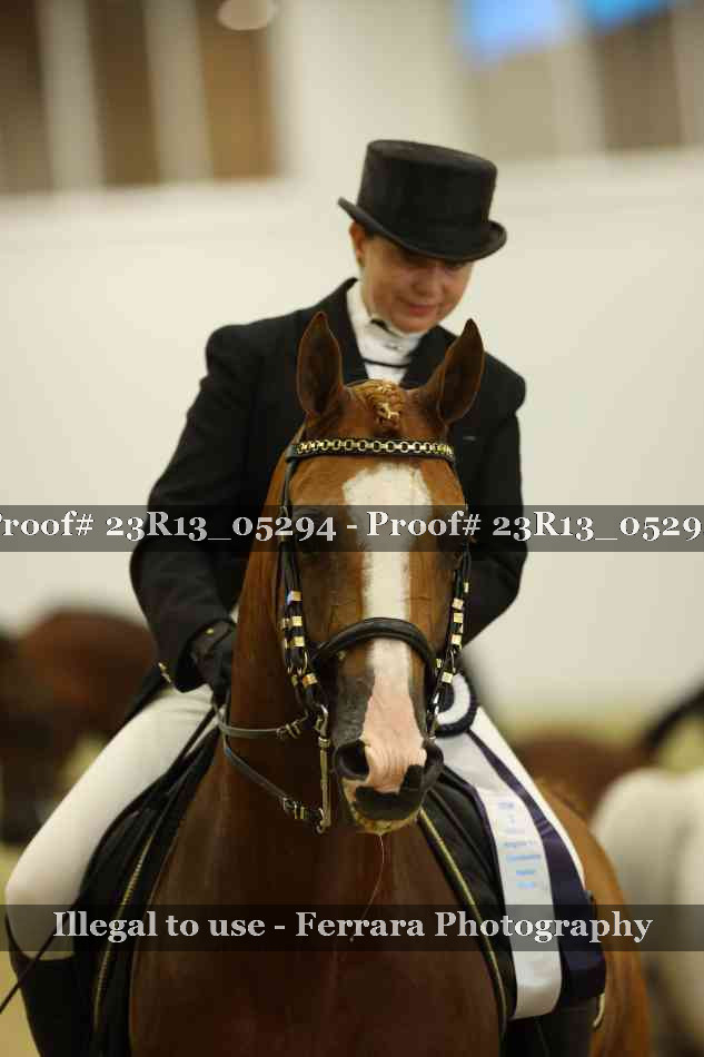 Proof Number 23R13_05294