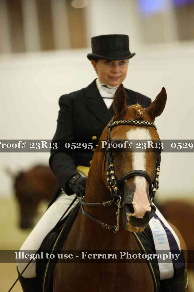 Proof Number 23R13_05295