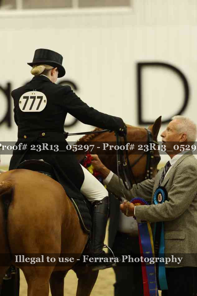 Proof Number 23R13_05297