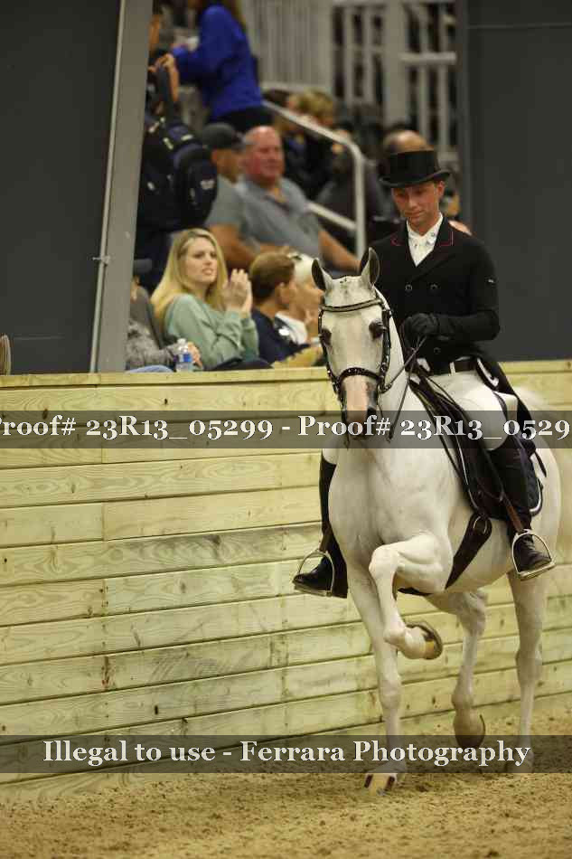 Proof Number 23R13_05299