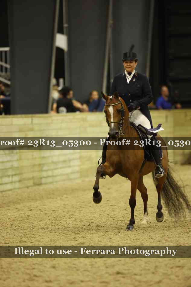 Proof Number 23R13_05300