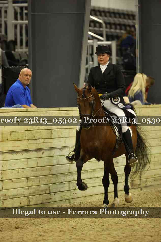 Proof Number 23R13_05302