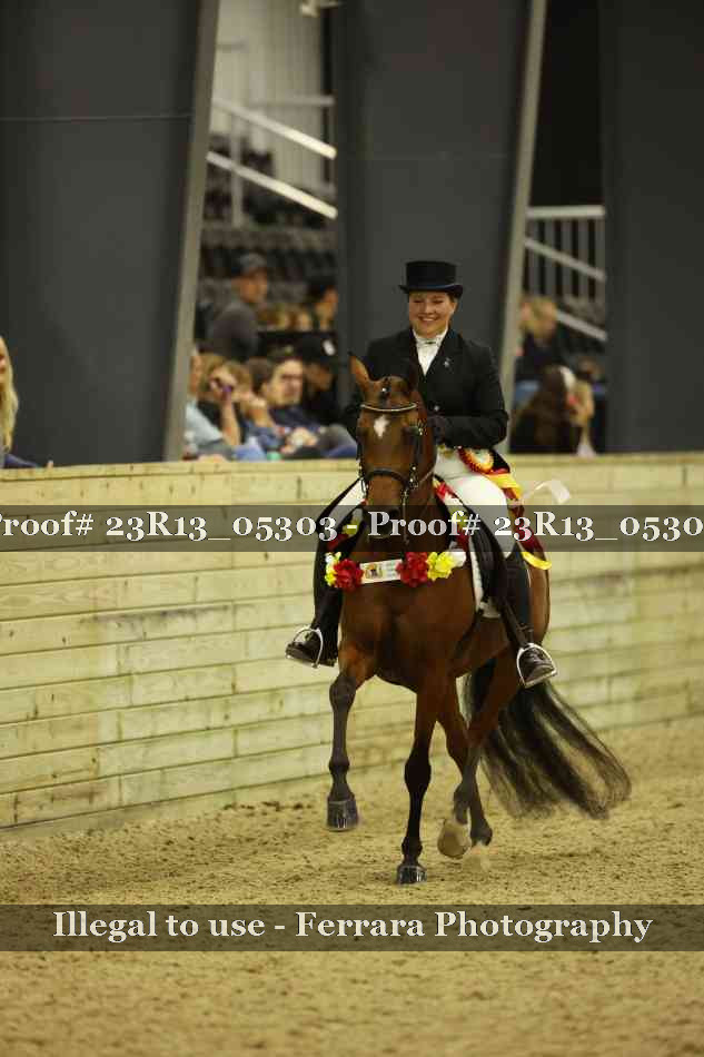 Proof Number 23R13_05303