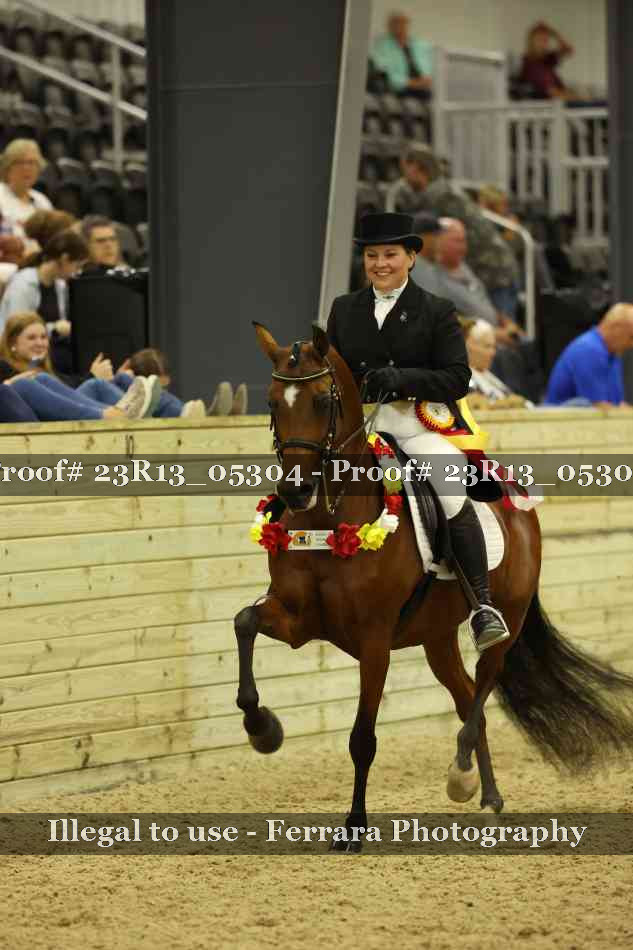 Proof Number 23R13_05304