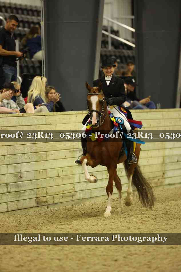 Proof Number 23R13_05306