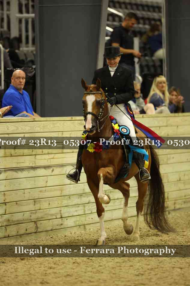 Proof Number 23R13_05307