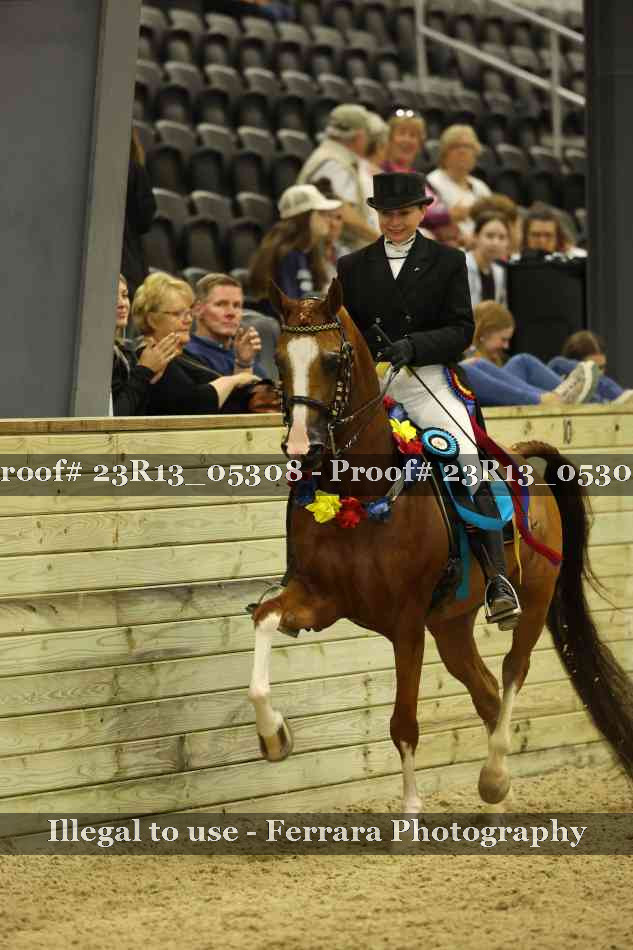 Proof Number 23R13_05308