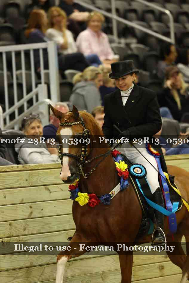 Proof Number 23R13_05309