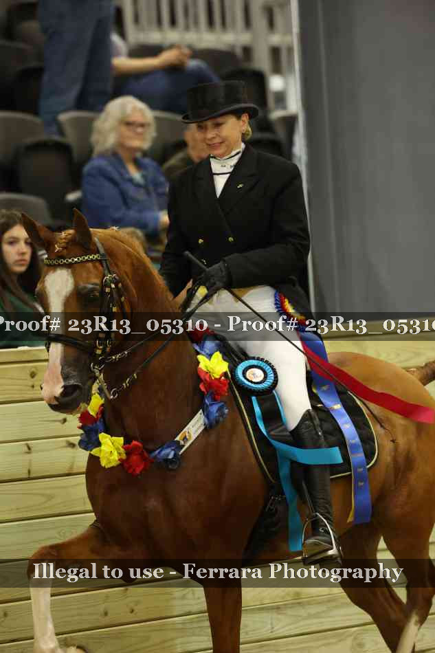 Proof Number 23R13_05310