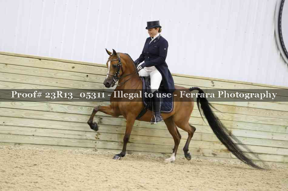 Proof Number 23R13_05311