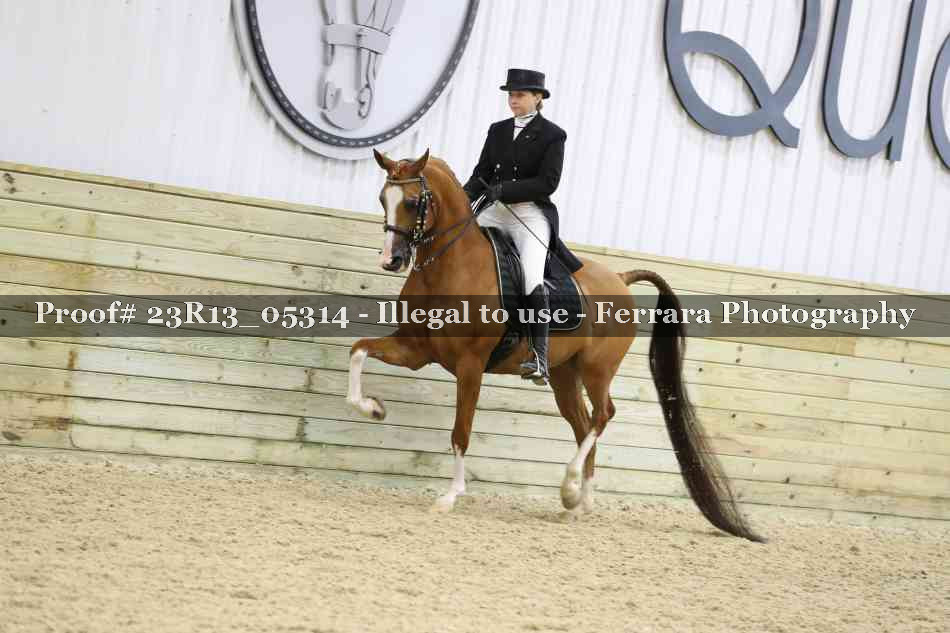 Proof Number 23R13_05314