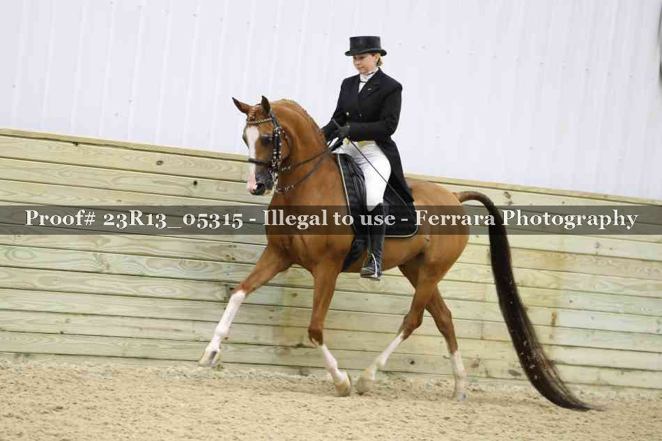 Proof Number 23R13_05315