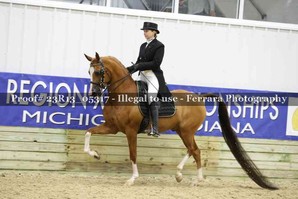 Proof Number 23R13_05317
