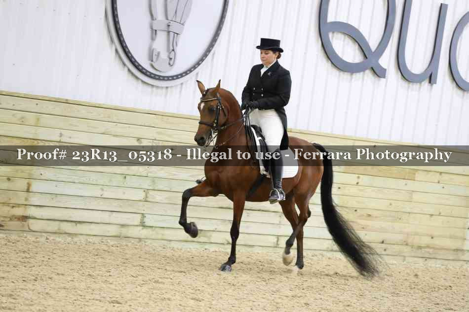 Proof Number 23R13_05318