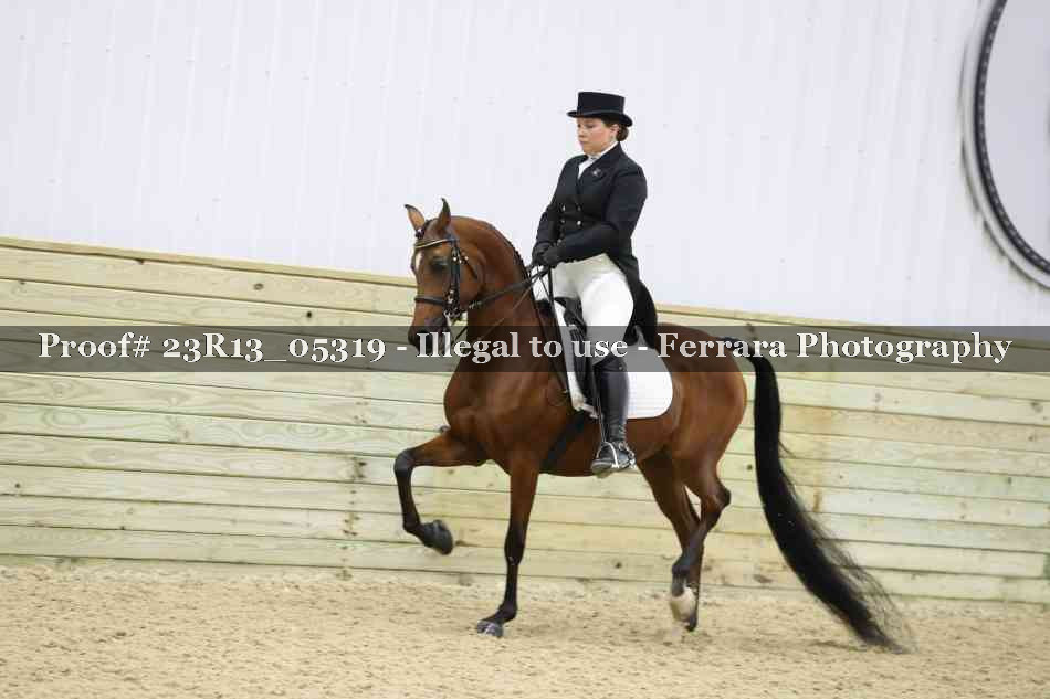 Proof Number 23R13_05319