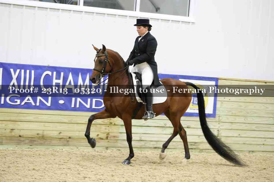 Proof Number 23R13_05320