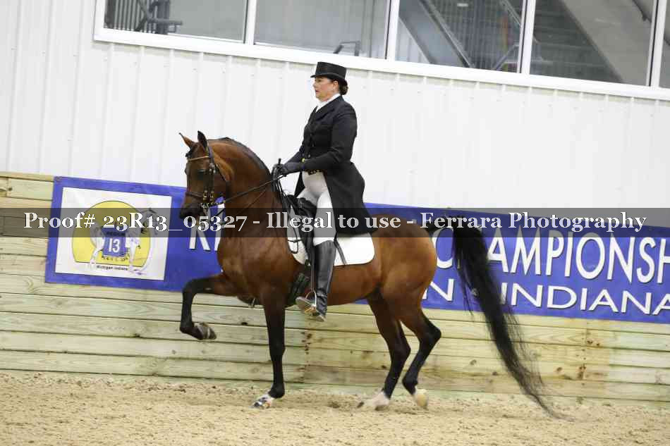 Proof Number 23R13_05327