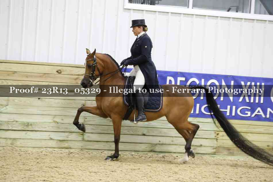 Proof Number 23R13_05329