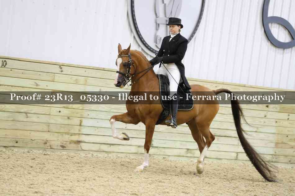 Proof Number 23R13_05330