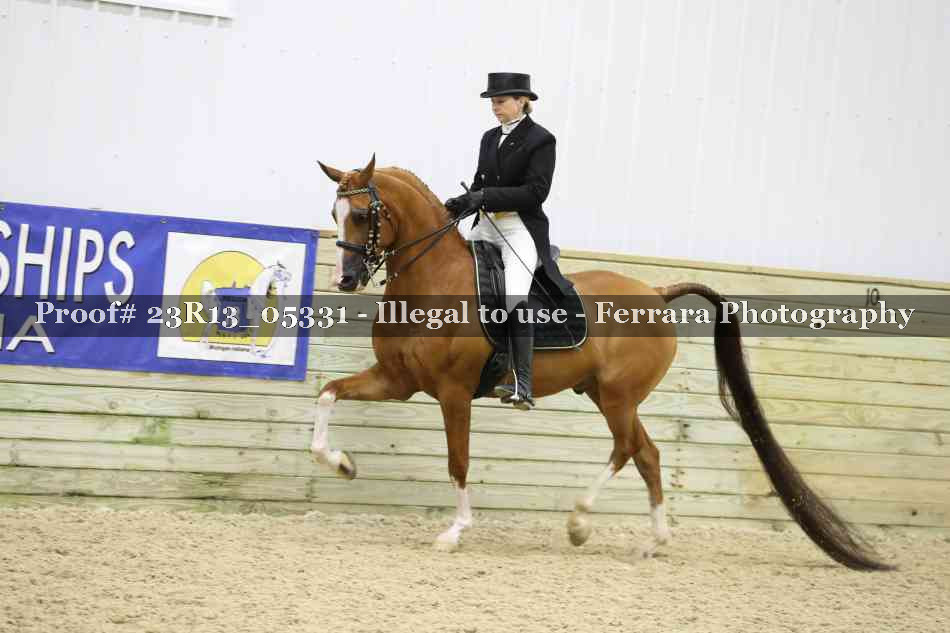 Proof Number 23R13_05331