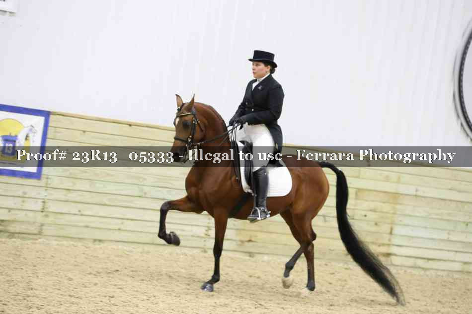 Proof Number 23R13_05333