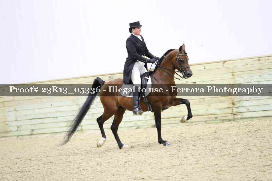 Proof Number 23R13_05336