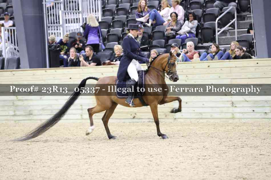 Proof Number 23R13_05337