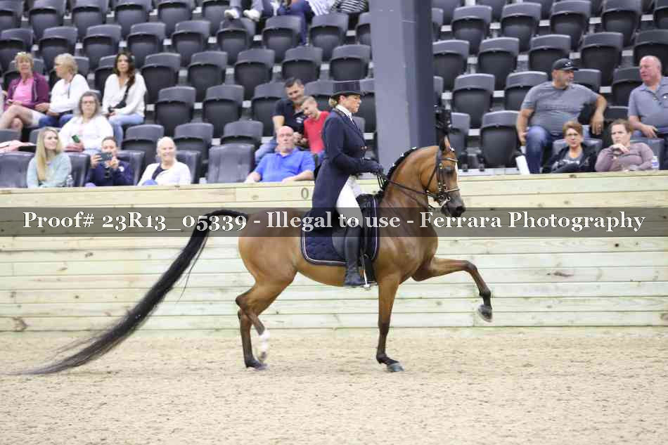 Proof Number 23R13_05339