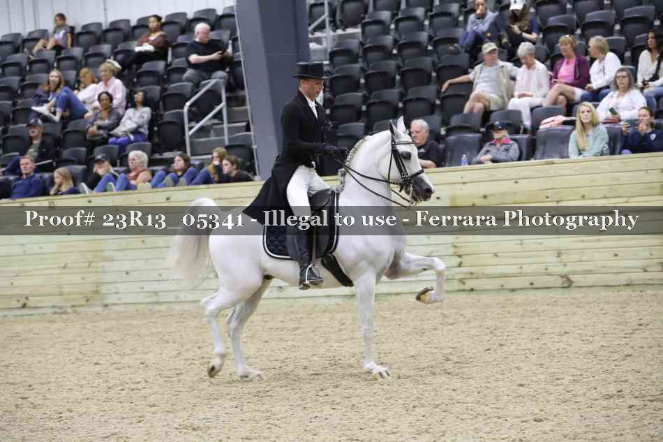 Proof Number 23R13_05341