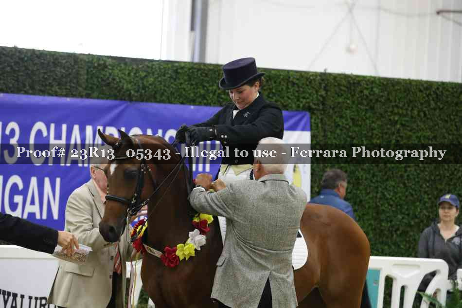 Proof Number 23R13_05343