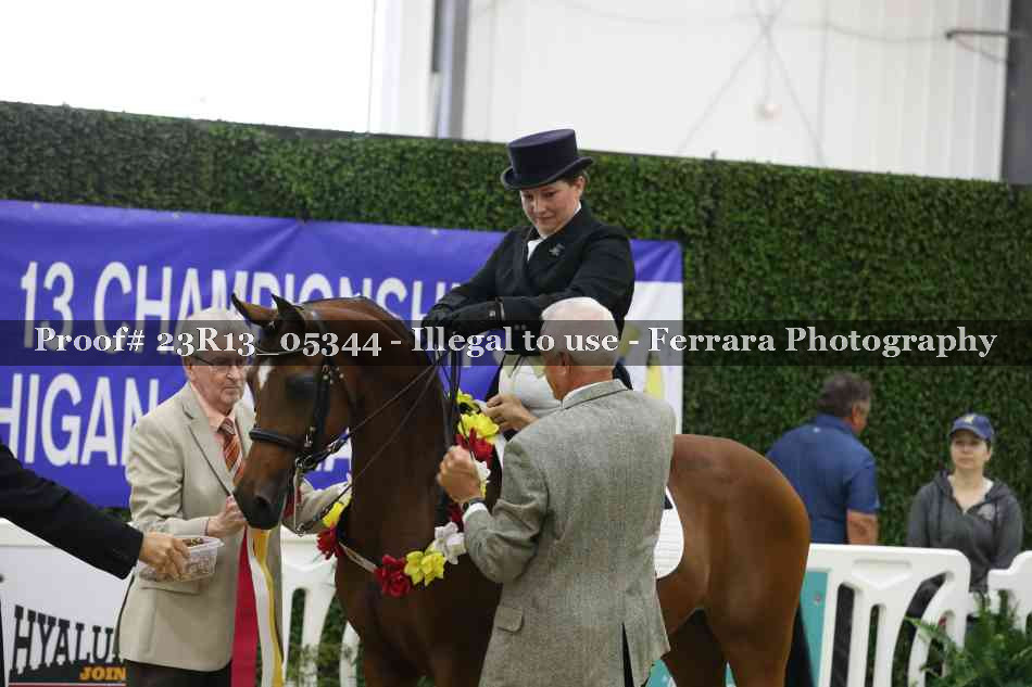 Proof Number 23R13_05344