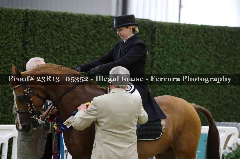 Proof Number 23R13_05352