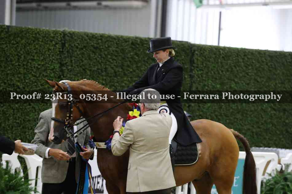 Proof Number 23R13_05354