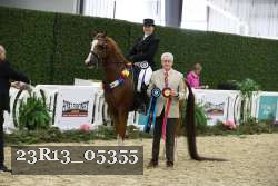 23R13_05355 thumbnail