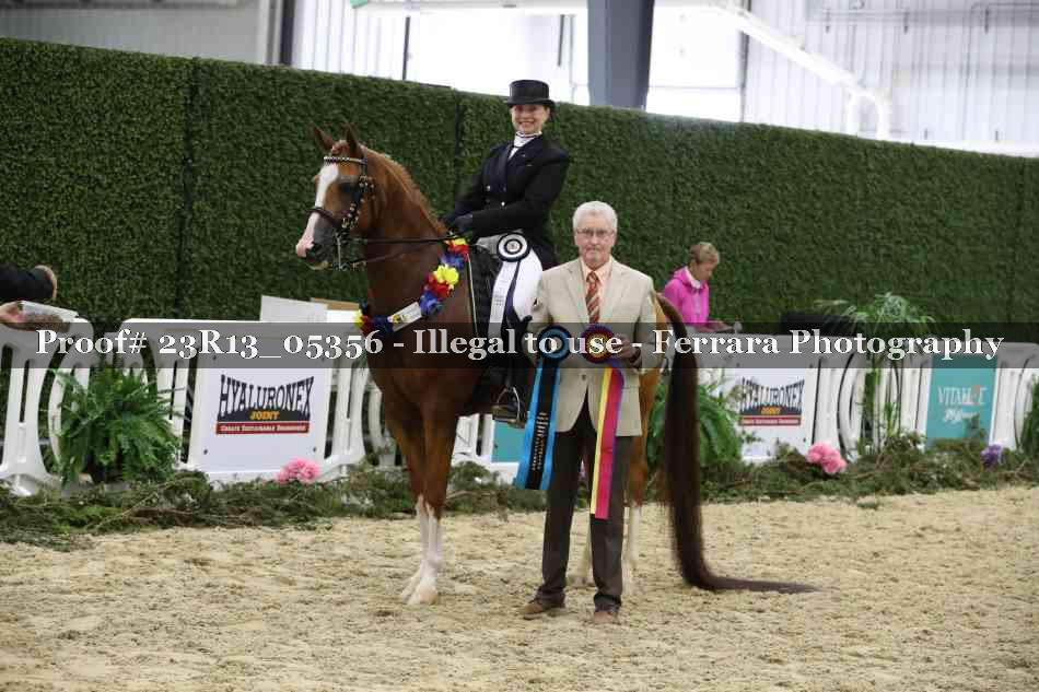 Proof Number 23R13_05356